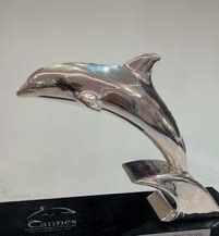 Нагорода «Срібний дельфін» Cannes Corporate Media & TV Awards