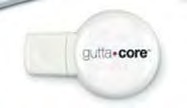Обтуратор на носії Gutta Core