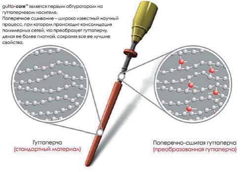 Будова обтуратора ГуттаКор.