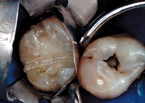 Фото 19.