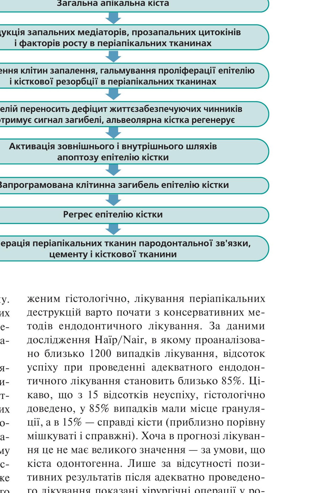 Схема процесу загоєння