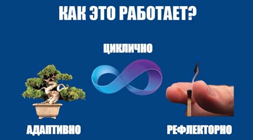 Схема адаптивного і рефлекторного регулювання