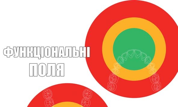 Функціональні поля