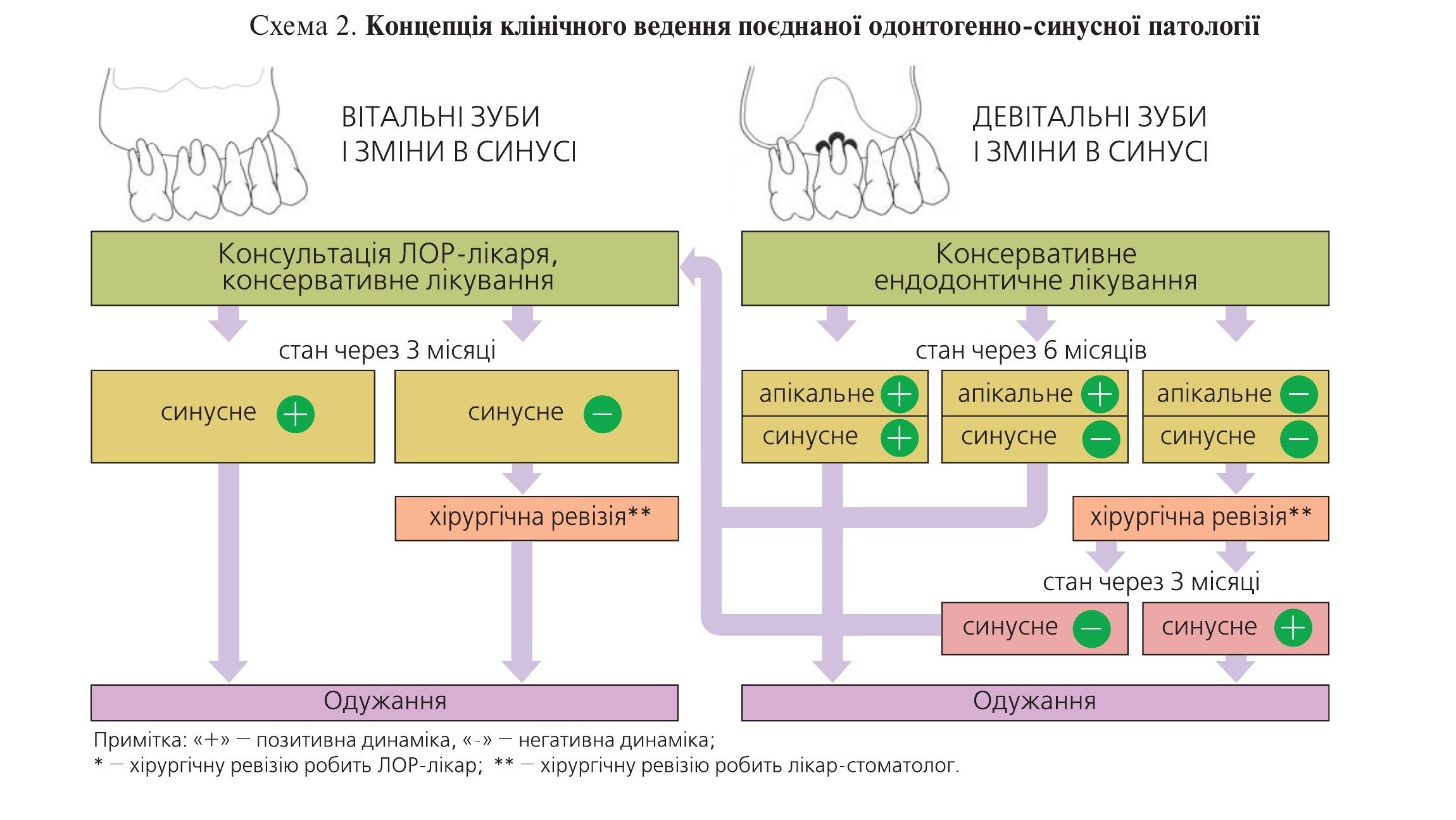 Схема 2. Концепція клінічного ведення поєднаної одонтогенно-синусної патології