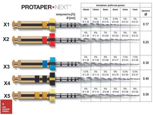 Лінійка ProTaper Next — файли X1–X5 з відповідними діаметрами кінчика 19, 25, 30, 40, 50.