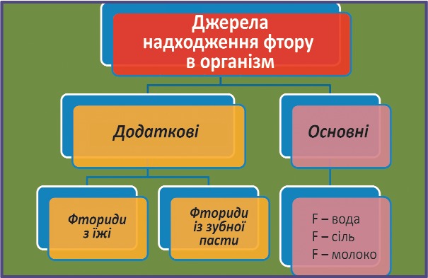 Можливі основні та додаткові джерела надходження фтору в організм