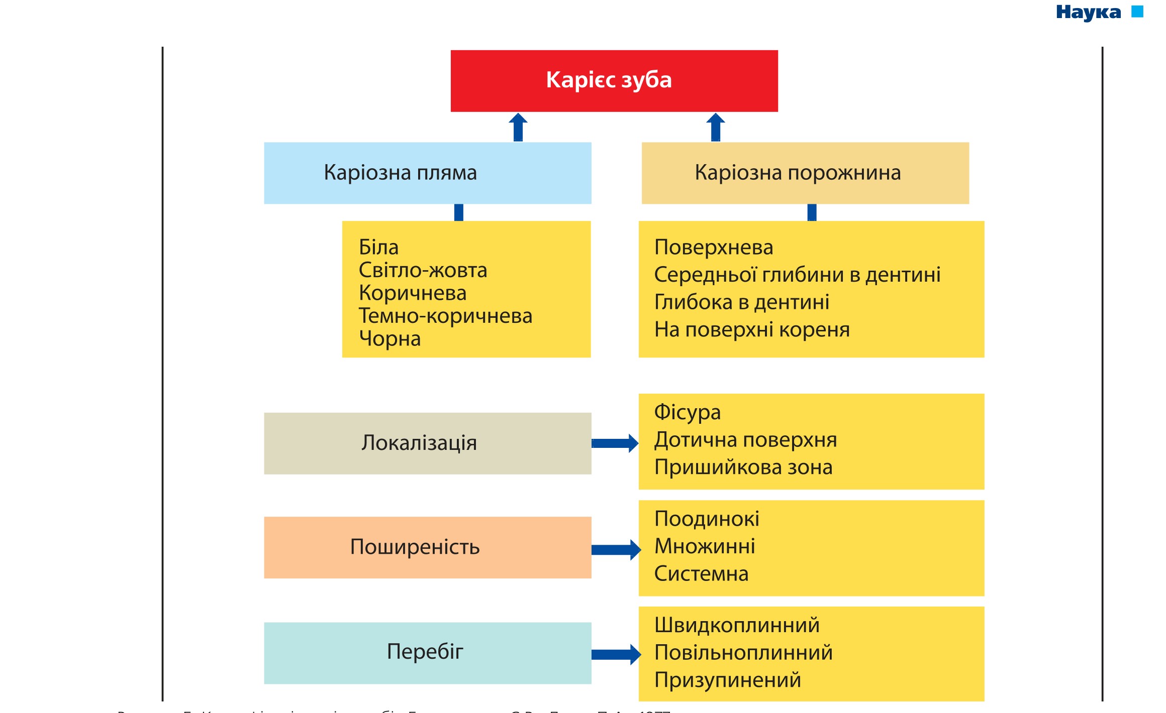 Класифікація карієсу зубів Боровського Є.В., Леуса П.А., 1977