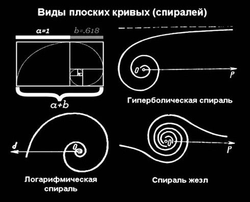 Основні види плоских кривих (спіралей) у формі верхньої щелепи при фізіологічних типах прикусів: спіраль гіперболічна, спіраль логарифмічна, спіраль «жезл».
