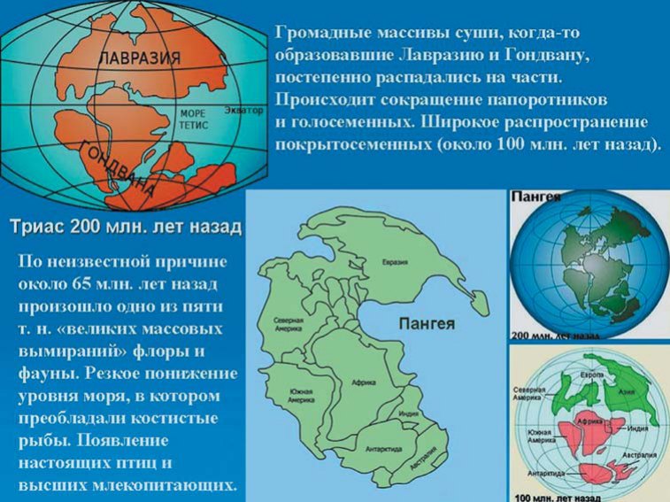 Крейдяний період, кінець Мезозойської ери (144-66 млн. років тому). Величезні масиви суші суперматерика Пангея стали рухатися і розпадатися на частини, утворивши нові континенти — Лавразію і Гондвану. До кінця крейдяного періоду поширилися квіткові рослини і примітивні ссавці. Систематичні знахідки скам'янілостей морських тварин від Альп і Карпат у Європі аж до Гімалаїв в Азії дозволили австрійському геологові Едуардові Зюссу 1893 року вперше висловити припущення про існування на цьому місці древнього океану, який він назвав Тетис за іменем грецької богині Тефіди. Так, наприклад, усі солоні озера Алтаю є залишками древнього моря.