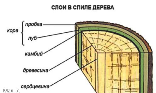 Мал. 7.