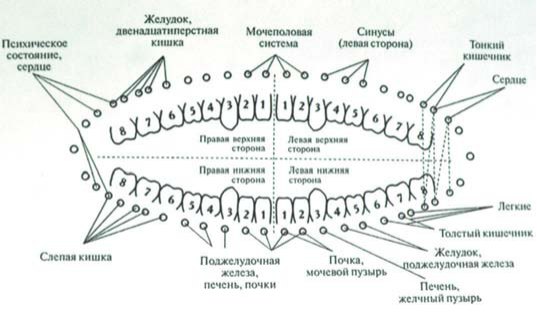 Володимир Черевко