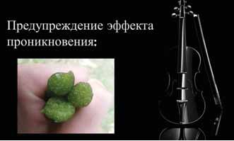 Наталя Синіцина на семінарі «Аполлонія-драйв»