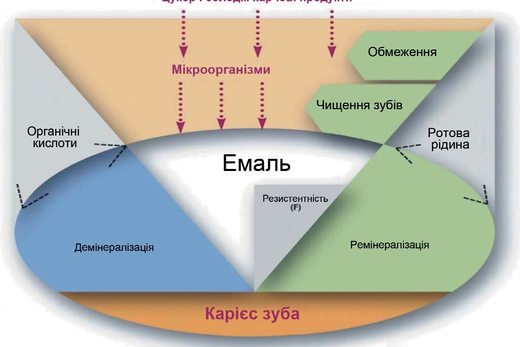 Обґрунтування методів профілактики карієсу в районах ендемічного флюорозу зубів
