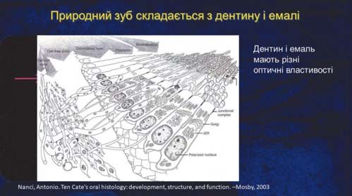 Парадигма Блека і парадигма адгезії