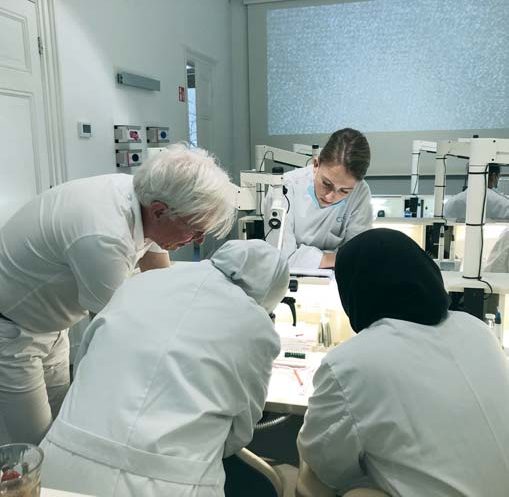 Вальтер ван Дрієль: практика, засідання ICD, День Святої Аполлонії в Латвії та родина