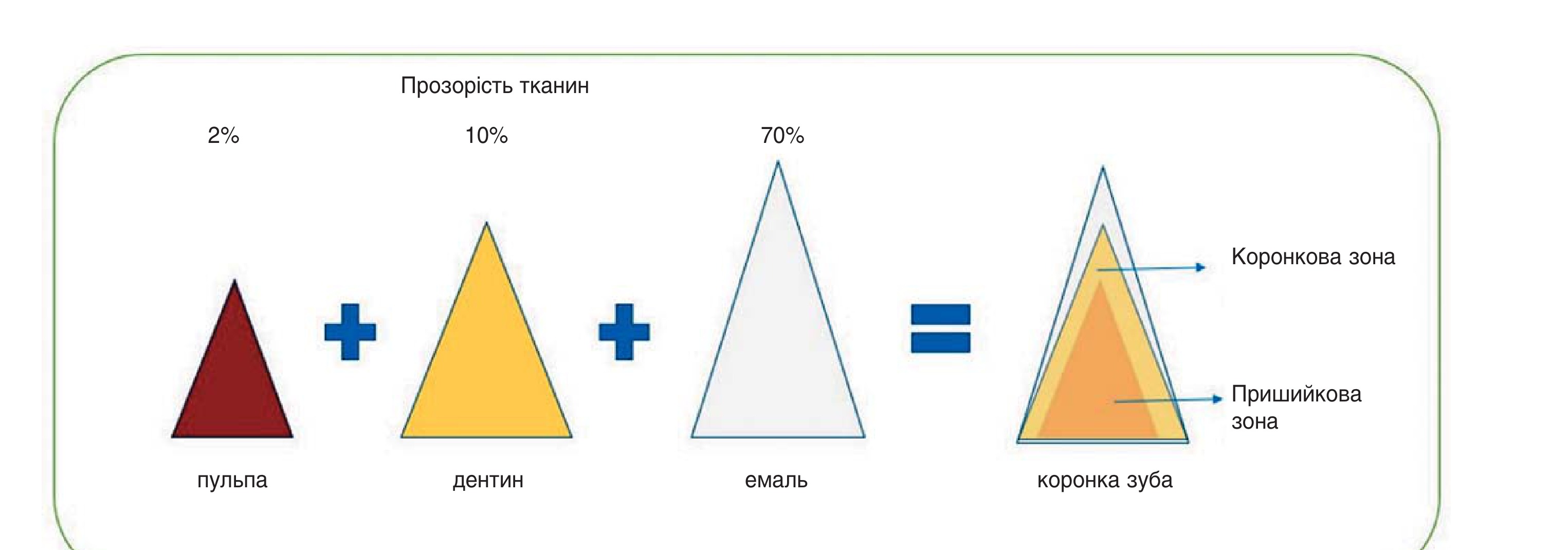 Причина формування коричневого відтінку в пришийковій зоні і жовтого — у коронковій