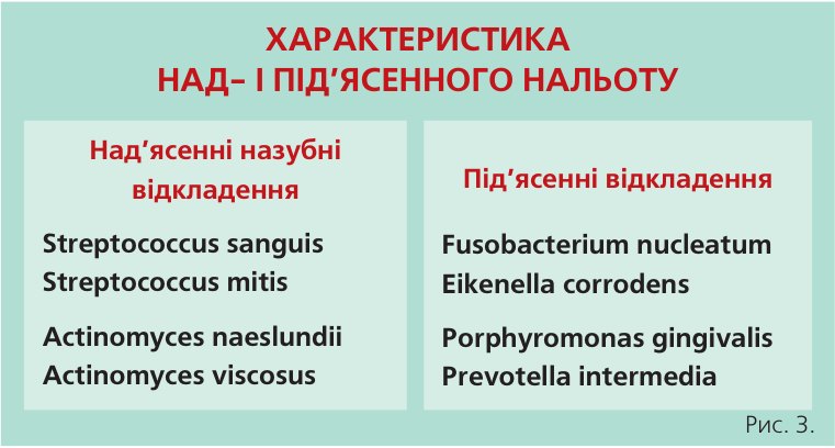 Характеристика над- і під’ясенного нальоту. Патогенні властивості Р. gingivalis