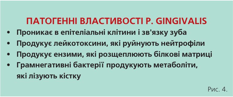 Характеристика над- і під’ясенного нальоту. Патогенні властивості Р. gingivalis